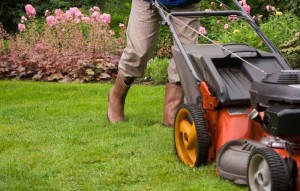 mow-your-lawn